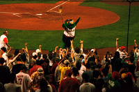 Sox on film '25-'26
